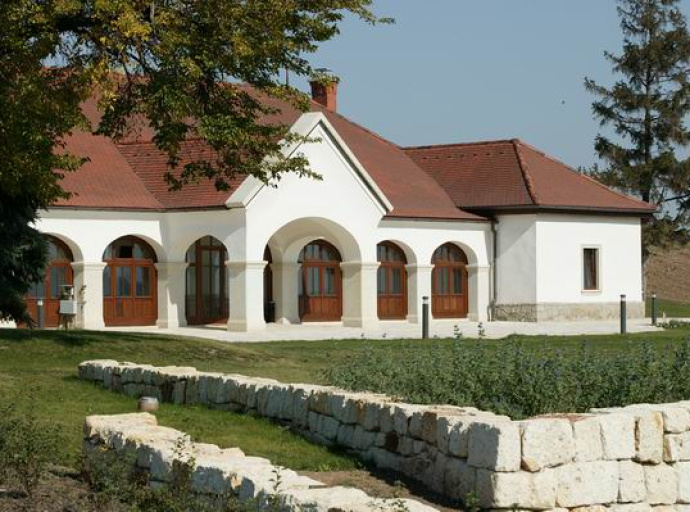 Patricius Borház