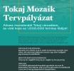 Tokaj Mozaik Tervpályázat 