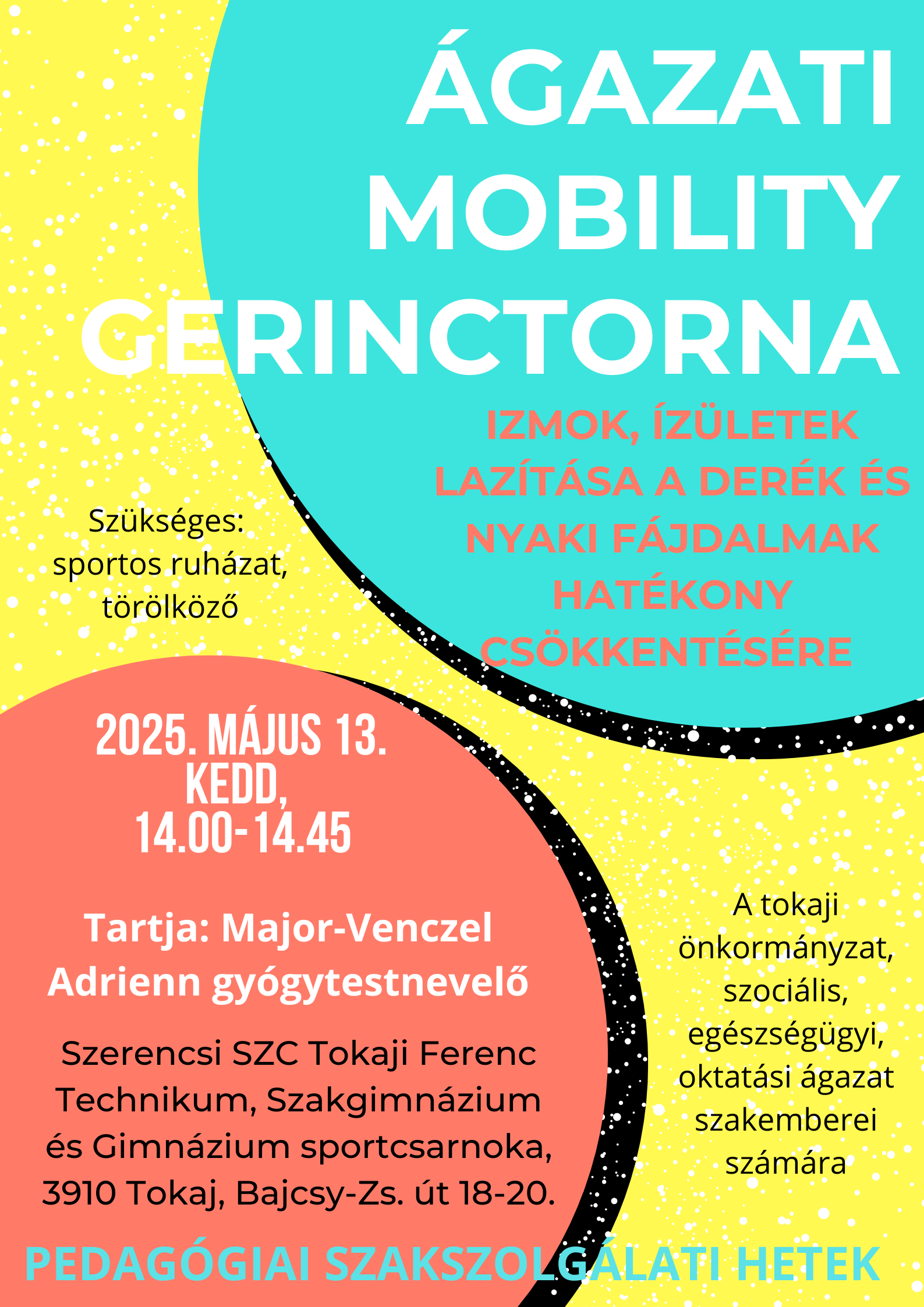 Agazati Mobility Gerinctorna Plakat
