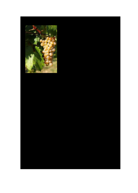 9. Tokaji Furmint 