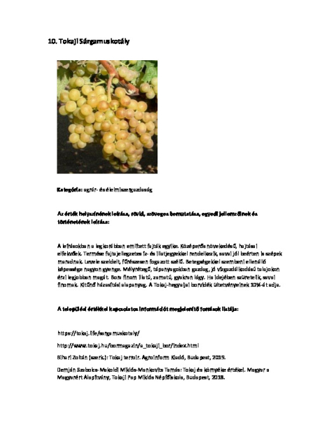 10. Tokaji Sárgamuskotály 